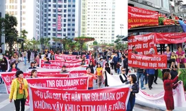 Có hơn 215 đơn khiếu nại, trong đó có hơn 108 dự án xảy ra tranh chấp.