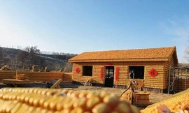Ngôi nhà đẹp như dát vàng được xây từ 20 ngàn bắp ngô