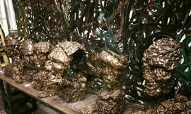 Từ khu nhà phế liệu ở Phan Xích Long, quận Phú Nhuận, TP.HCM được họa sĩ Nguyễn Quốc Dân thuê lại và biến thành một nơi có không gian sống nghệ thuật.