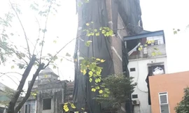 Thu hồi nhà, đất ‘siêu mỏng, siêu nhỏ’ phục vụ công cộng ở Hà Nội