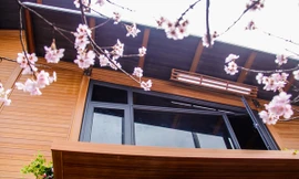 Ngôi biệt thự bằng vật liệu nhựa sinh thái.