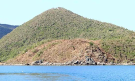 Nhiều hecta đất tại vịnh Vân Phong, huyện Vạn Ninh bị đào bới, cây cối bị đốn hạ. Ảnh: An Phước