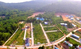 Hàng chục ha đất nông nghiệp ở khu vực đường Cây Thông Ngoài ở xã Cửa Dương (Phú Quốc) bị "xẻ thịt", phân lô, bán nền.