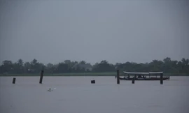 ​Hiện trường xây dựng công viên trái cây Cái Bè.