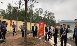 Phó Chủ tịch Thành phố phát động Tết trồng cây xuân Mậu Tuất.