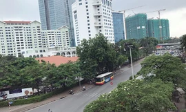 Hà Nội cấp phép đánh chuyển, chặt hạ 130 cây xanh trên phố Kim Mã