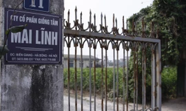 Khu đất rộng 11ha được AVG mua cổ phần của Công ty cổ phần giống tằm Mai Lĩnh với giá cao gấp 17 lần mệnh giá cổ phần.