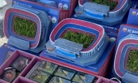 101 cách kiếm tiền của Barcelona: Cắt cỏ sân Camp Nou để bán