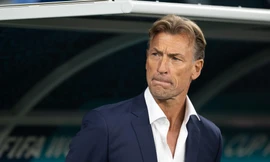 Lịch thi đấu World Cup nữ 2023 ngày 29/7: ‘Đại chiến’ Pháp - Brazil