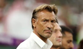 Tuyển Bờ Biển Ngà mượn cựu HLV Nam Định đến hết CAN 2024 nhưng bị từ chối