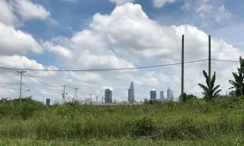 Cảnh đối lập ở khu đô thị mới Thủ Thiêm khi một bên là bãi lau sậy; bên kia bờ sông là những toà cao ốc.