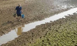 Cảnh báo khô hạn ở miền Bắc