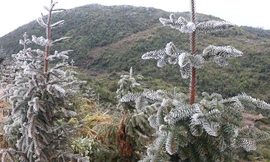 Hình ảnh băng giá xuất hiện trên diện rộng tại Mèo Vạc