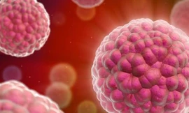 Ung thư phát tán như thế nào?