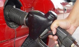 Tước giấy phép hai doanh nghiệp xăng dầu gian lận