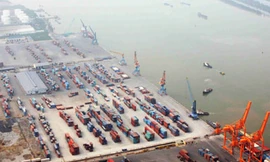 Container hàng hóa tại cảng Chùa Vẽ - Hải Phòng