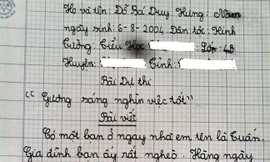 Bài dự thi hút vạn lượt like của học sinh lớp 4