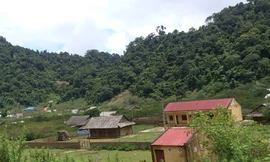 Trở lại nơi sản sinh những ông trùm 'hàng trắng'