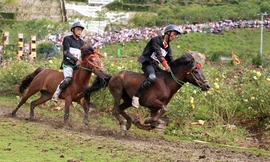 Những màn 'tung vó' đẹp mắt ở giải đua ngựa trên nóc nhà Đông Dương