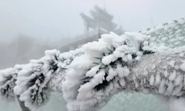 Tuyết rơi, băng giá phủ trắng nóc nhà Đông Dương 