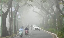 Ngỡ ngàng hình ảnh Hà Nội sương giăng khắp lối như Sa Pa