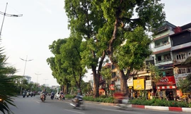 Giữa ngày nắng đổ lửa Hà thành, 'thiên đường' bóng mát là đây