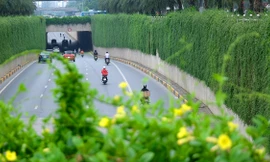 Mãn nhãn với bức tường của hầm chui được phủ kín cây xanh ở Hà Nội những ngày oi bức