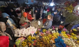 Chợ hoa Tết nổi tiếng nhất Hà Nội: Khách thốt rẻ quá, mua nhiều chưa biết cắm đâu