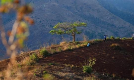 Núi lửa Chư Đăng Ya, địa danh không thể bỏ qua của du khách khi đến đại ngàn Gia Lai