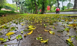 Người dân Thủ đô chật vật đi làm trong mưa rét bất thường