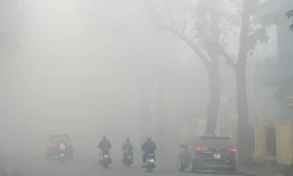 Sương mù dày đặc chưa từng thấy, trời Hà Nội như Sa Pa