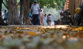 Chụp ảnh tạo dáng trên phố dưới cái nắng thiêu người