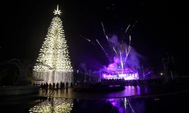Hàng trăm nghìn bóng đèn led thắp sáng cây thông Noel cao 37 mét