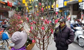 Chợ hoa cổ nhất Hà Thành nhộn nhịp ngày đầu mở cửa