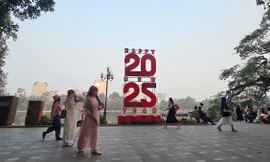 Phố phường Hà Nội trang hoàng rực rỡ đón Tết Ất Tỵ 2025