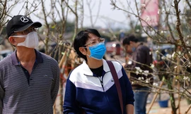 Người Hà Nội 'săn' hoa lê tiền triệu dịp rằm tháng Giêng