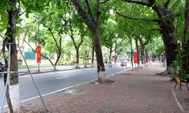Hình ảnh khác lạ ở 'con đường Thu' Hà Nội sáng nay
