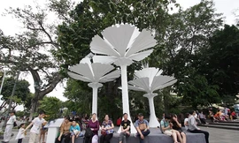 Cây tiện ích, một giải pháp mới cho không gian đô thị hiện đại