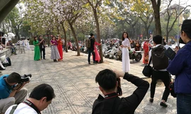 Chị em Hà thành dập dìu 'đọ sắc' với hoa ban Tây Bắc dịp cuối tuần