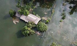 Bay trên vùng rốn lũ Hà Nội