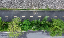 Diện mạo mới của đường đi bộ ven sông Tô Lịch - Hà Nội