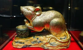 Mục sở thị chuột mạ vàng - 'Kỳ linh Canh Tý' giá hàng chục triệu đồng