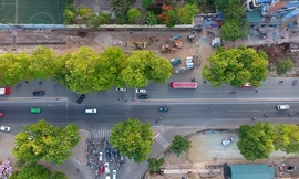 Con đường có 1300 cây xà cừ trong những ngày nắng nóng đỉnh điểm