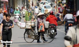 Hà Nội sẽ không còn hoa quả bán rong?