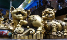 Muôn trạng thái siêu ngộ nghĩnh của linh vật năm Hợi 2019