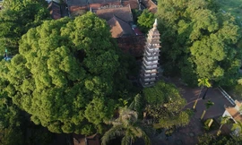 Ngôi chùa thời Trần có tháp 700 tuổi bằng gạch cao nhất Việt Nam