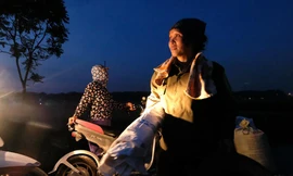 Trốn nắng gay gắt lên đến 40 độ vào ban ngày, nông dân Hà Nội gặt lúa xuyên đêm