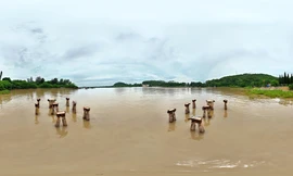 Khám phá di tích quốc gia huyền thoại - Bến tàu không số Hải Phòng