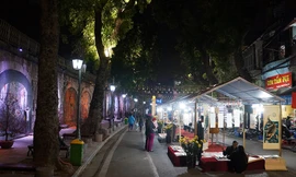 Mở cửa chợ hoa Hàng Lược cùng không gian văn hóa bích họa Phùng Hưng