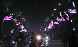 Đường phố Hà Nội rực rỡ chuẩn bị đón Tết Kỷ Hợi